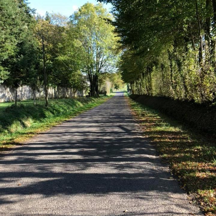 Photo of Others in Joue-du-Plain