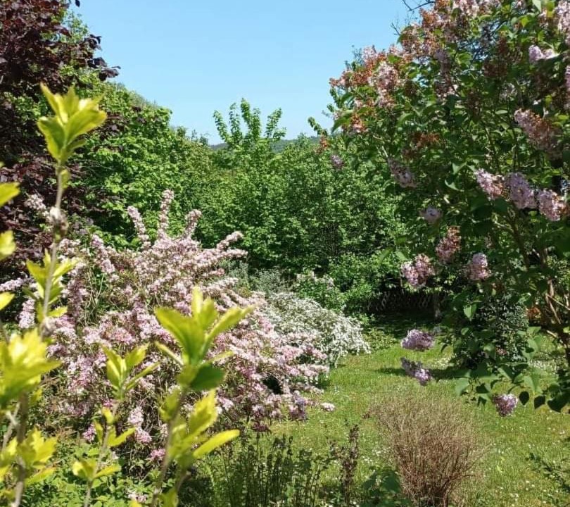 Photo of Outdoor in Arques-la-Bataille