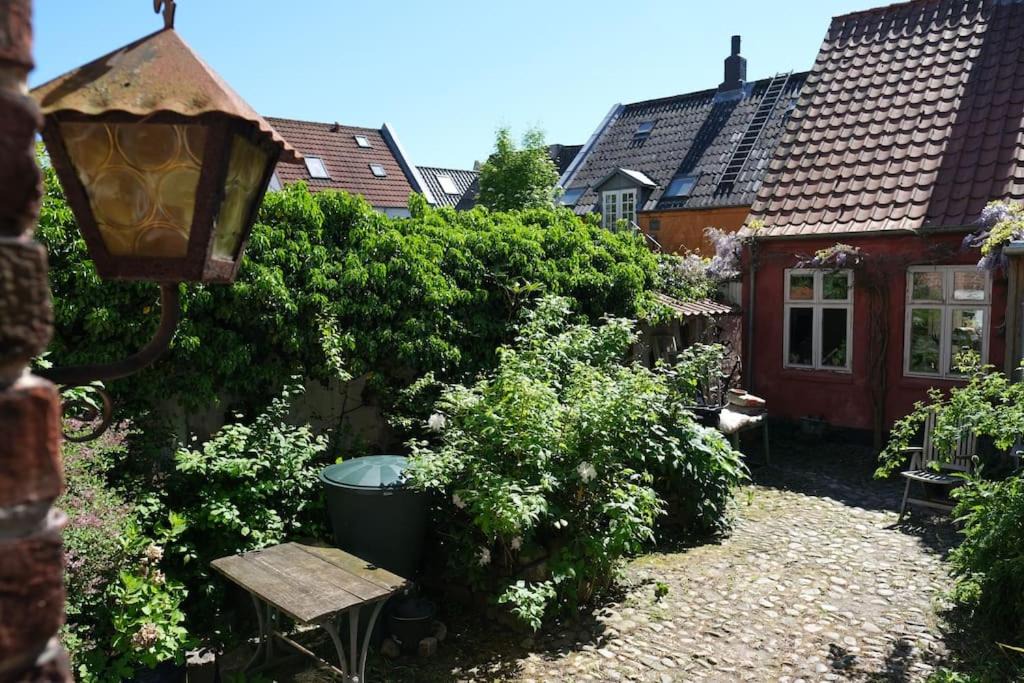 Photo of Others in Øgadekvarteret