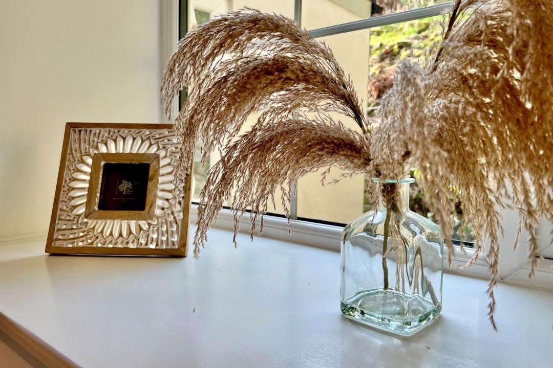 Photo of Others in Minera