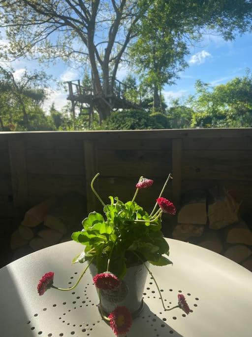 Photo of Others in Ashford