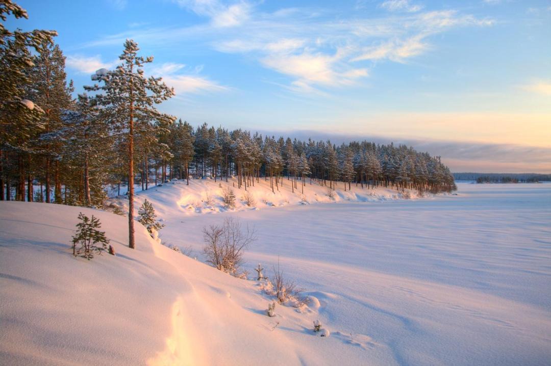 Photo of Others in Bemidji