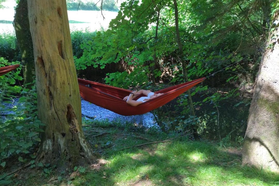 Photo of Others in Signy-lAbbaye