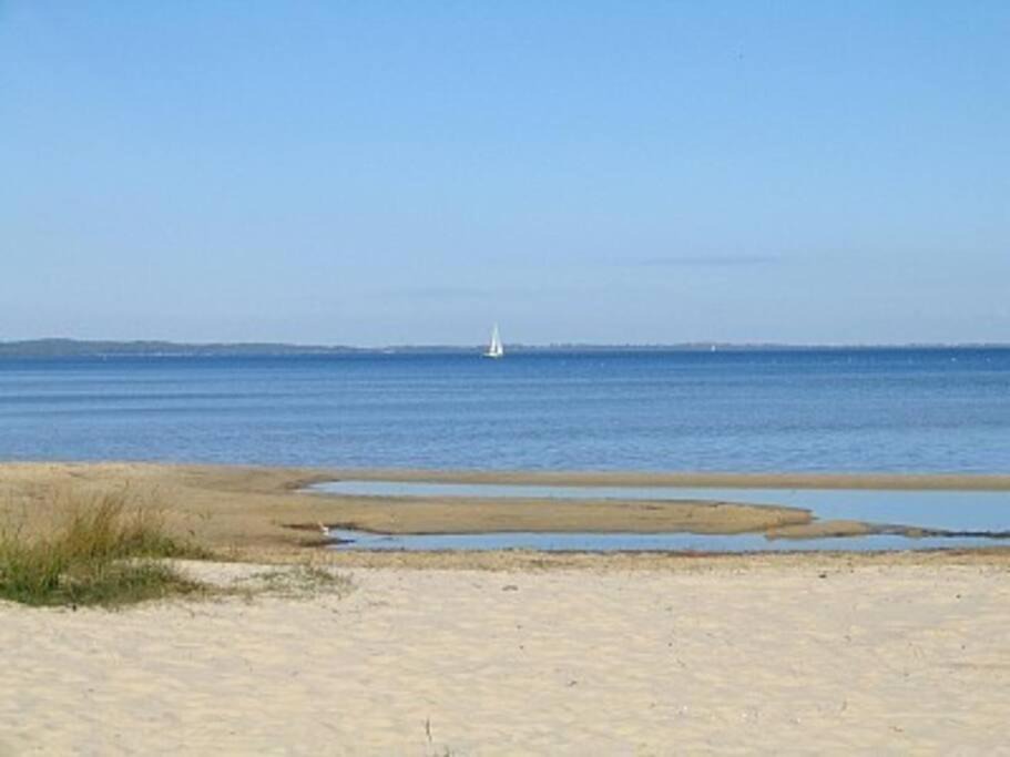 Photo of Others in Biscarrosse