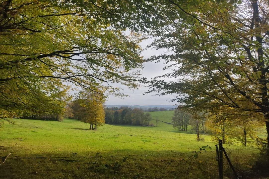 Photo of Outdoor in Signy-lAbbaye