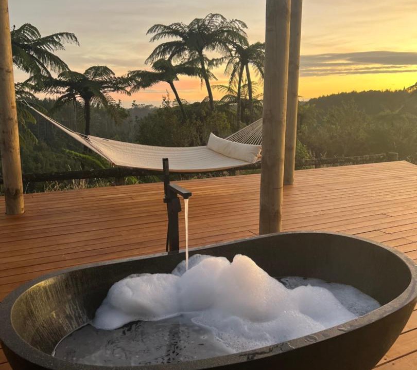 Photo of Others in Lower Kaimai