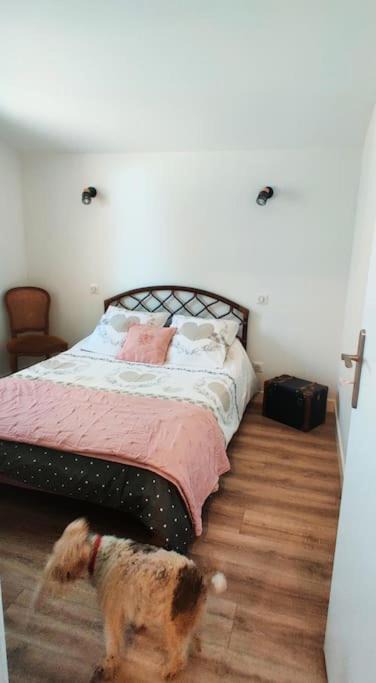 Photo of Bedroom in Coursan