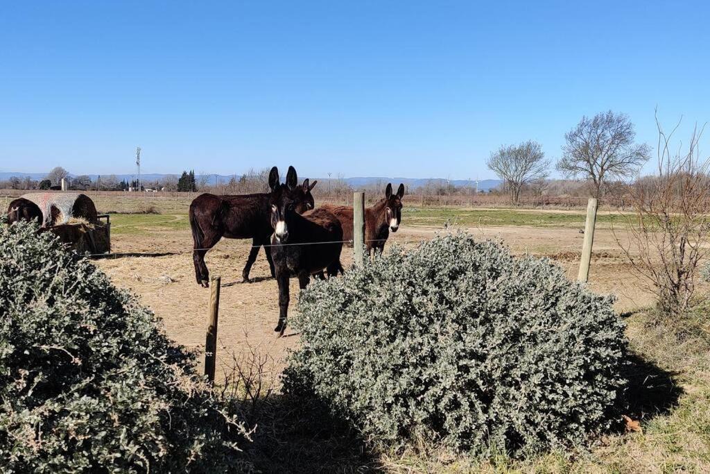 Photo of Others in Coursan