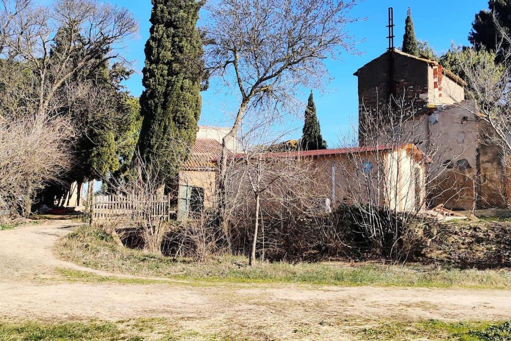 Photo of Buildings in Coursan