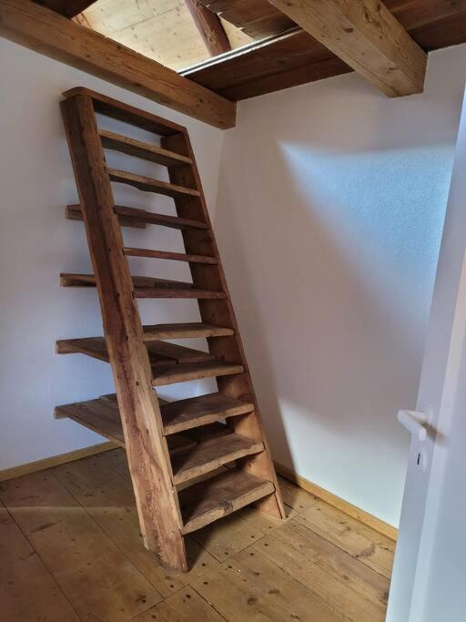 Photo of Others in Campo