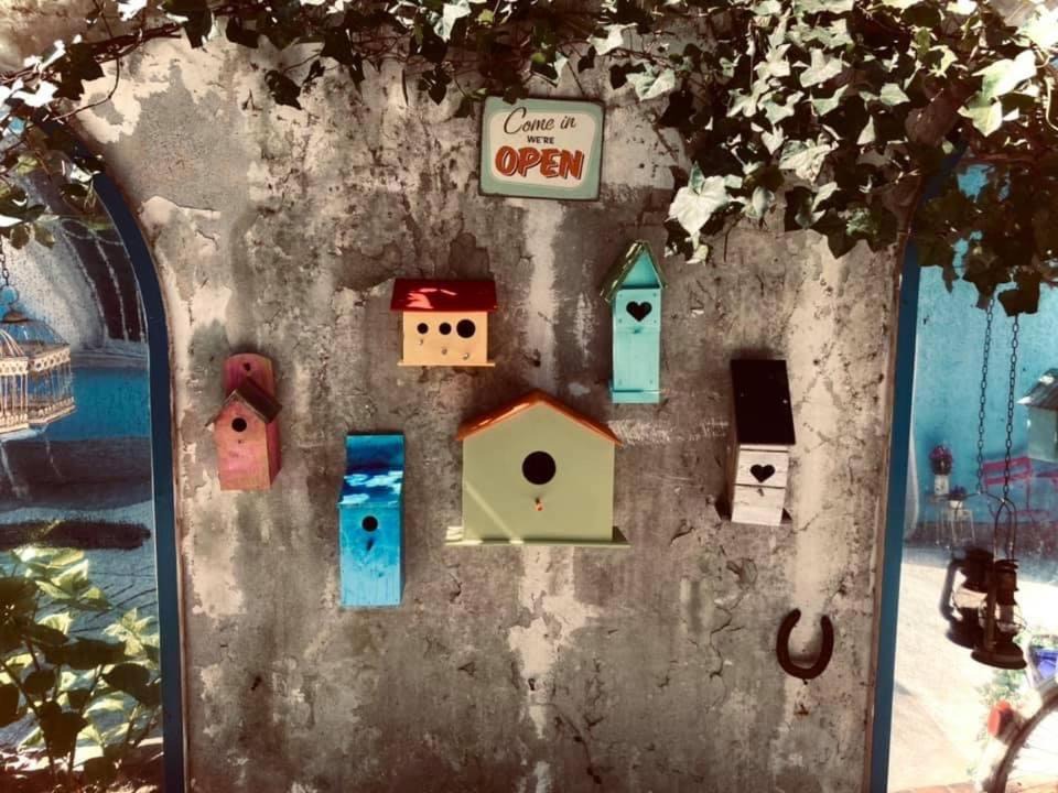 Photo of Others in Muralto