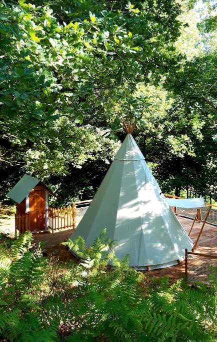 Photo of Others in Cambounes