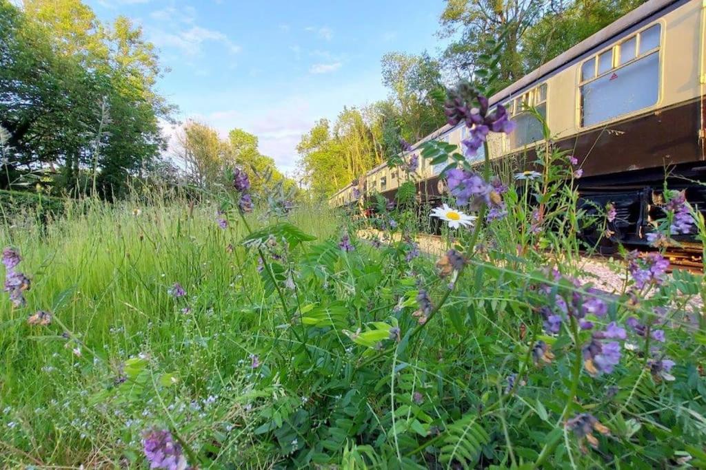 Photo of Others in Jackfield