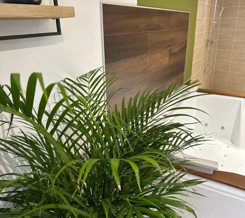 Photo of Others in Sotteville-les-Rouen