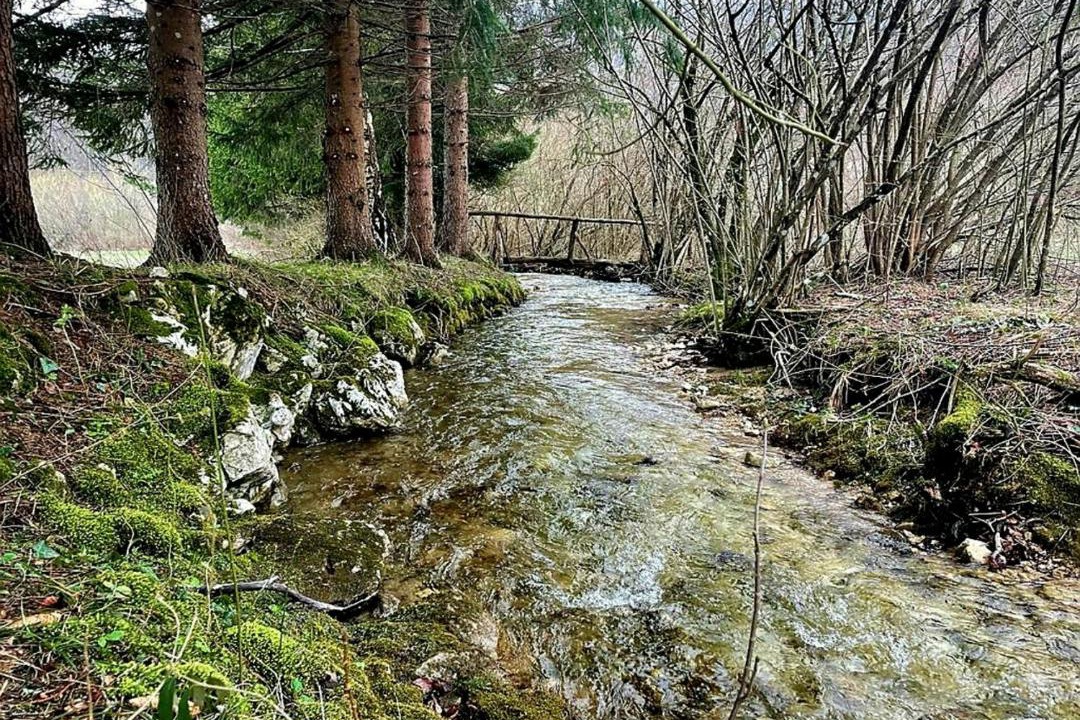 Photo of Others in Plitvica Selo
