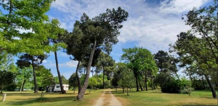 Photo of Others in Tigy