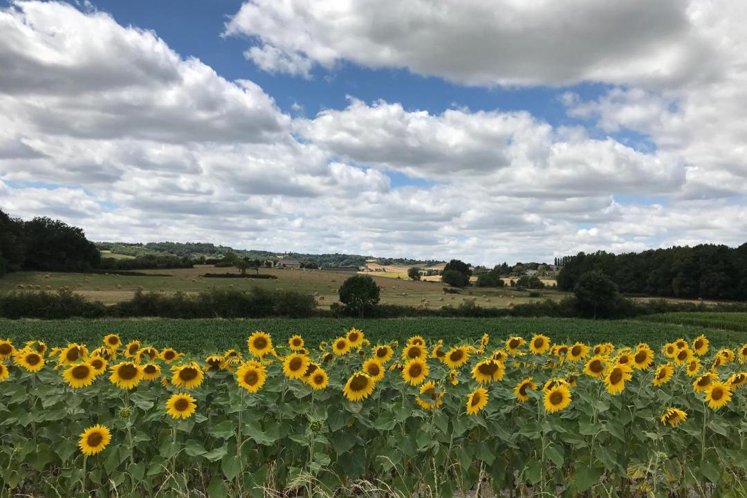 Photo of Others in Sud Charente