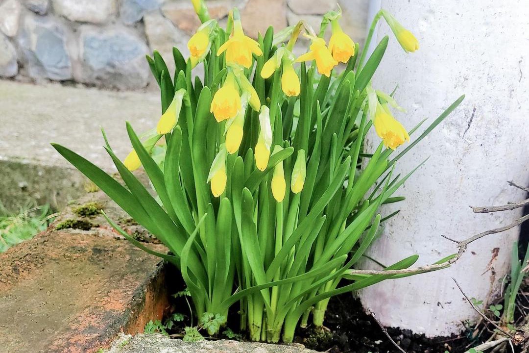 Photo of Others in Groeslon