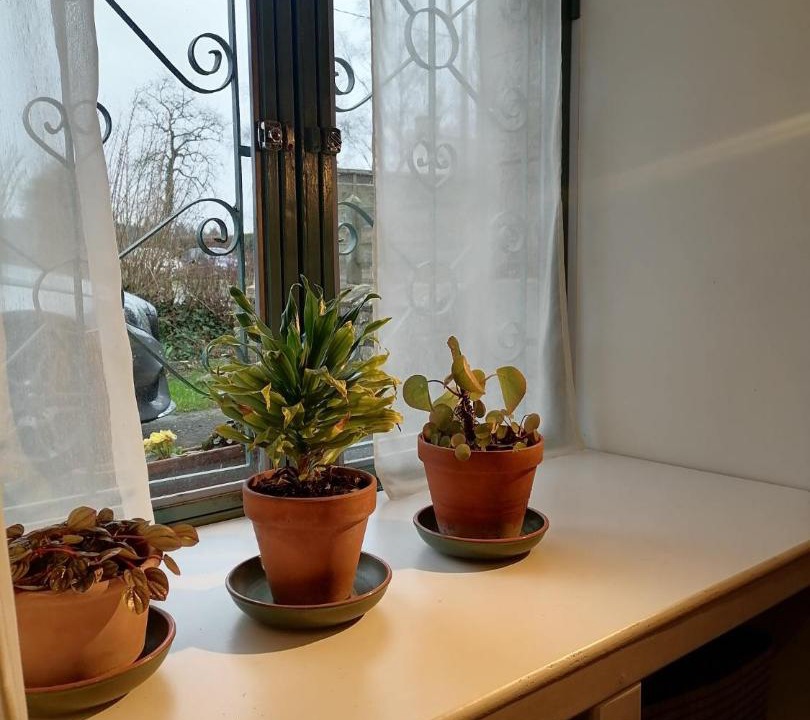 Photo of Others in Saint-Aubin-d'Aubigne