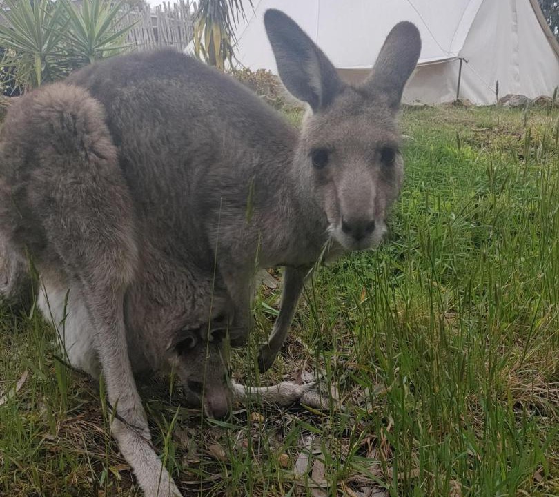 Photo of Others in New Gisborne