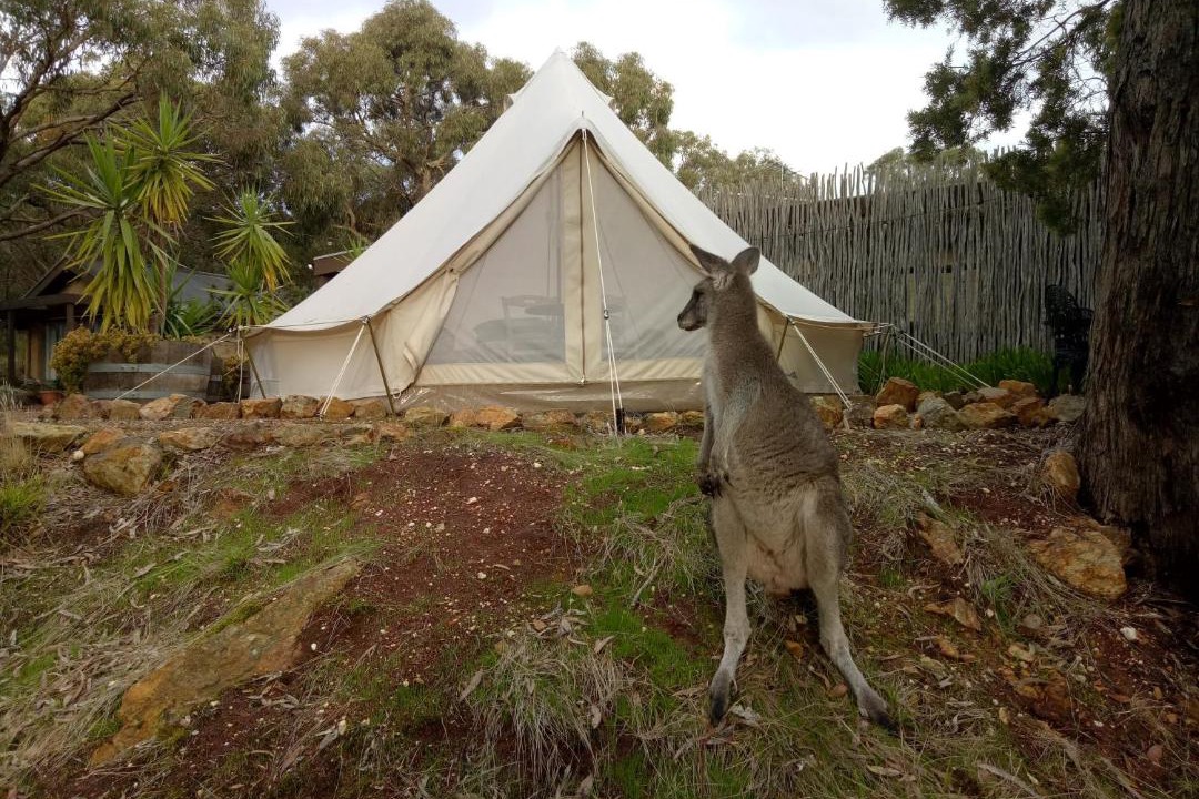 Photo of Others in New Gisborne