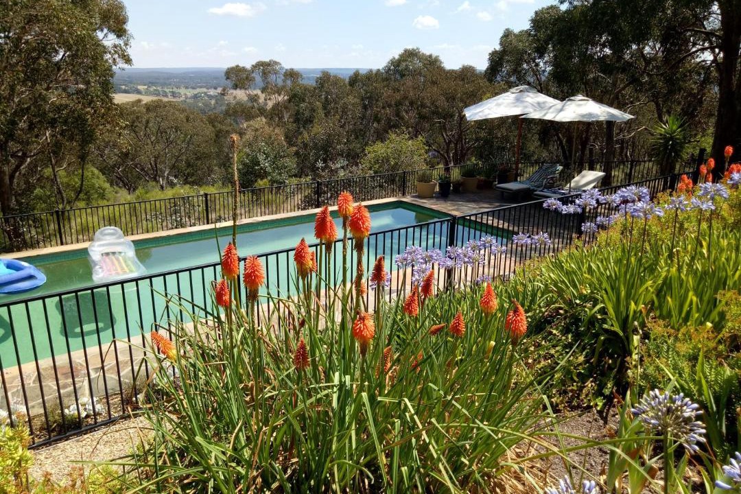 Photo of Others in New Gisborne