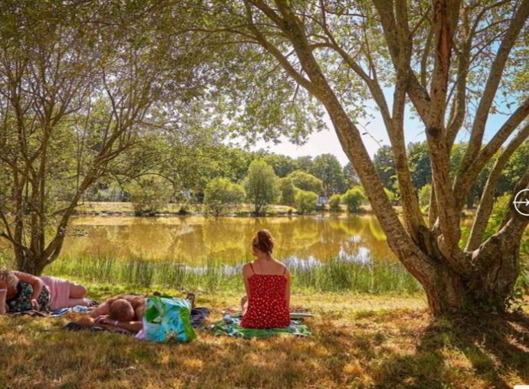 Photo of Others in La Boissiere-de-Montaigu