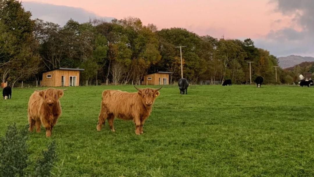 Photo of Others in Connel