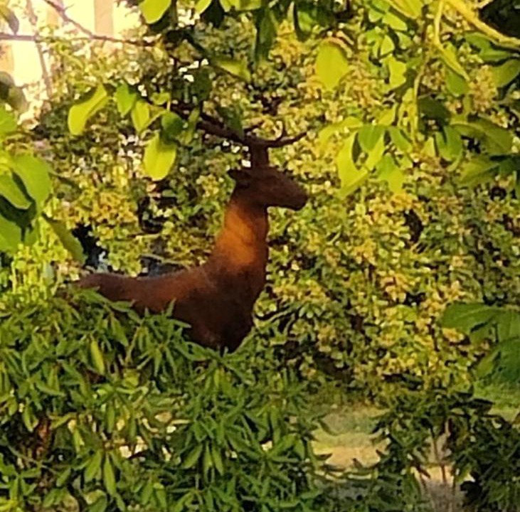 Photo of Outdoor in Le Mesnil-Germain