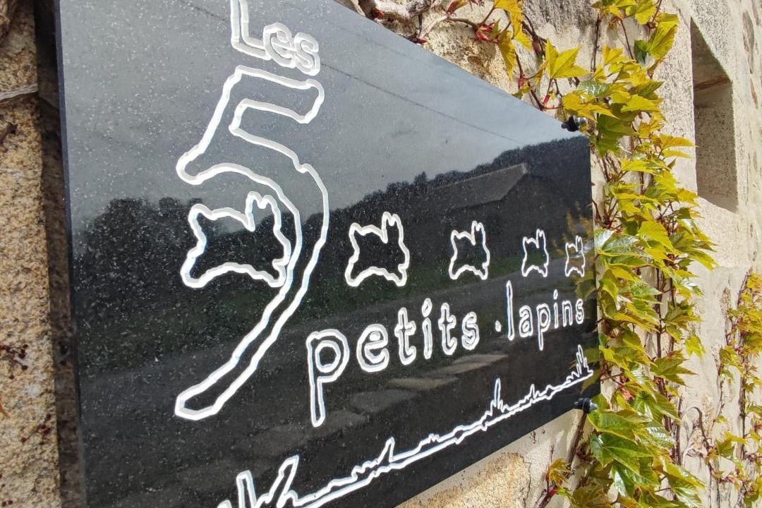 Photo of Others in Bar