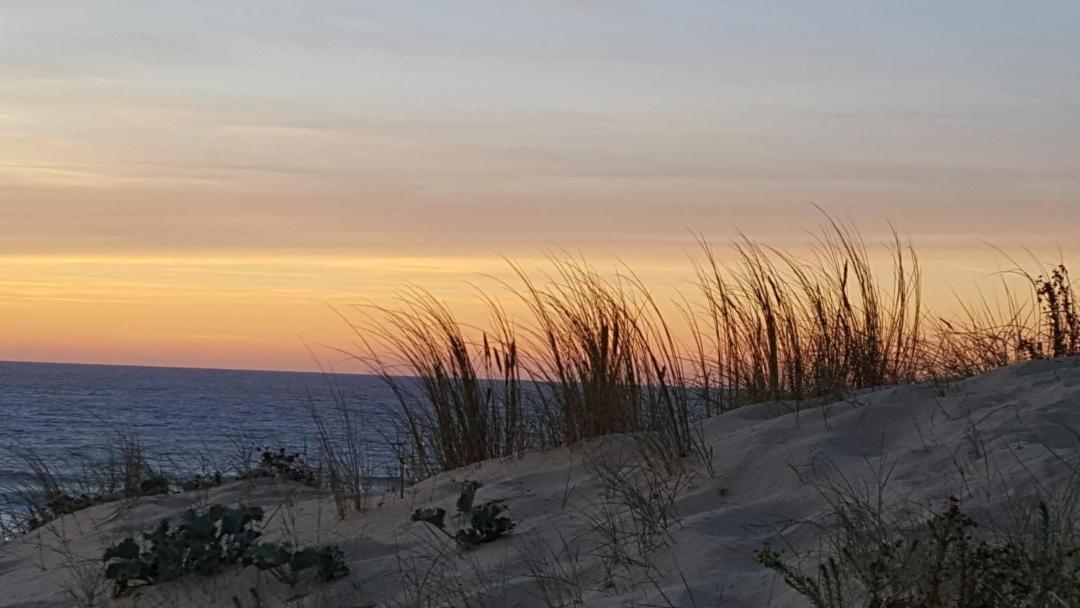 Photo of Others in Contis-les-Bains