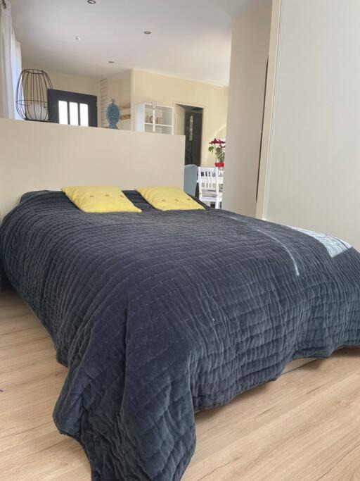 Photo of Others in Montaud