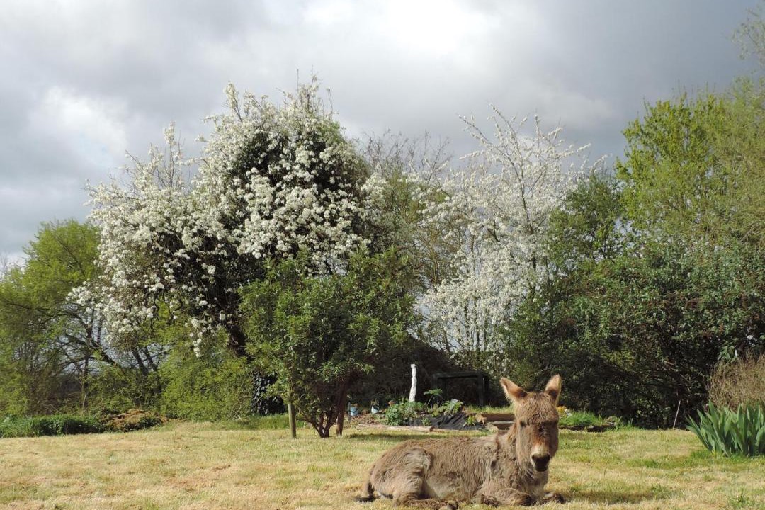 Photo of Others in Segrie