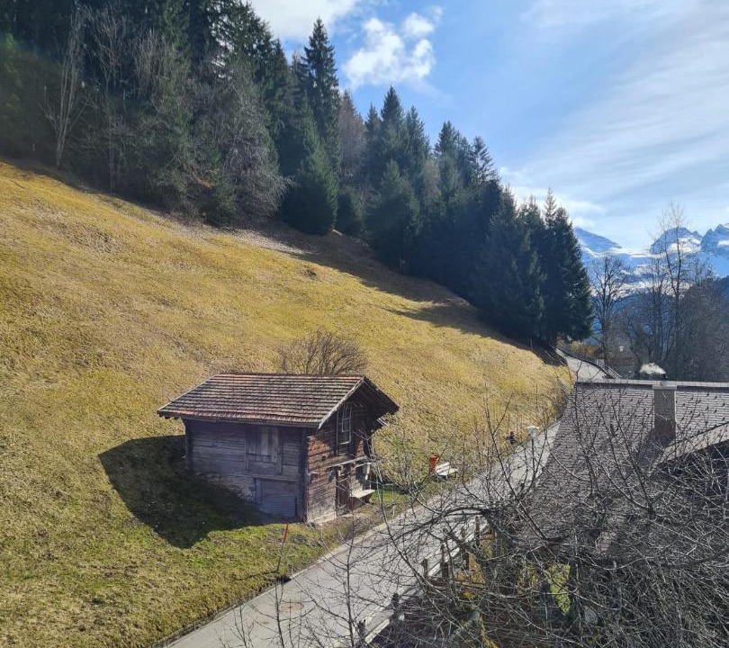 Photo of Others in Wengen