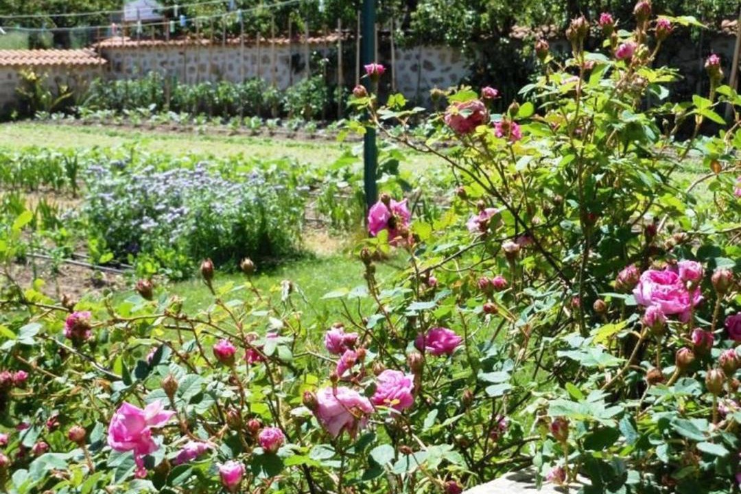 Photo of Outdoor in Saint-Georges-Lagricol