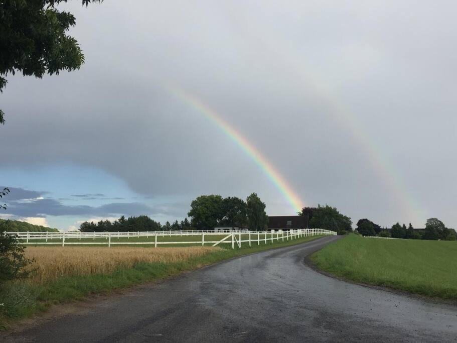 Photo of Outdoor in Harlev