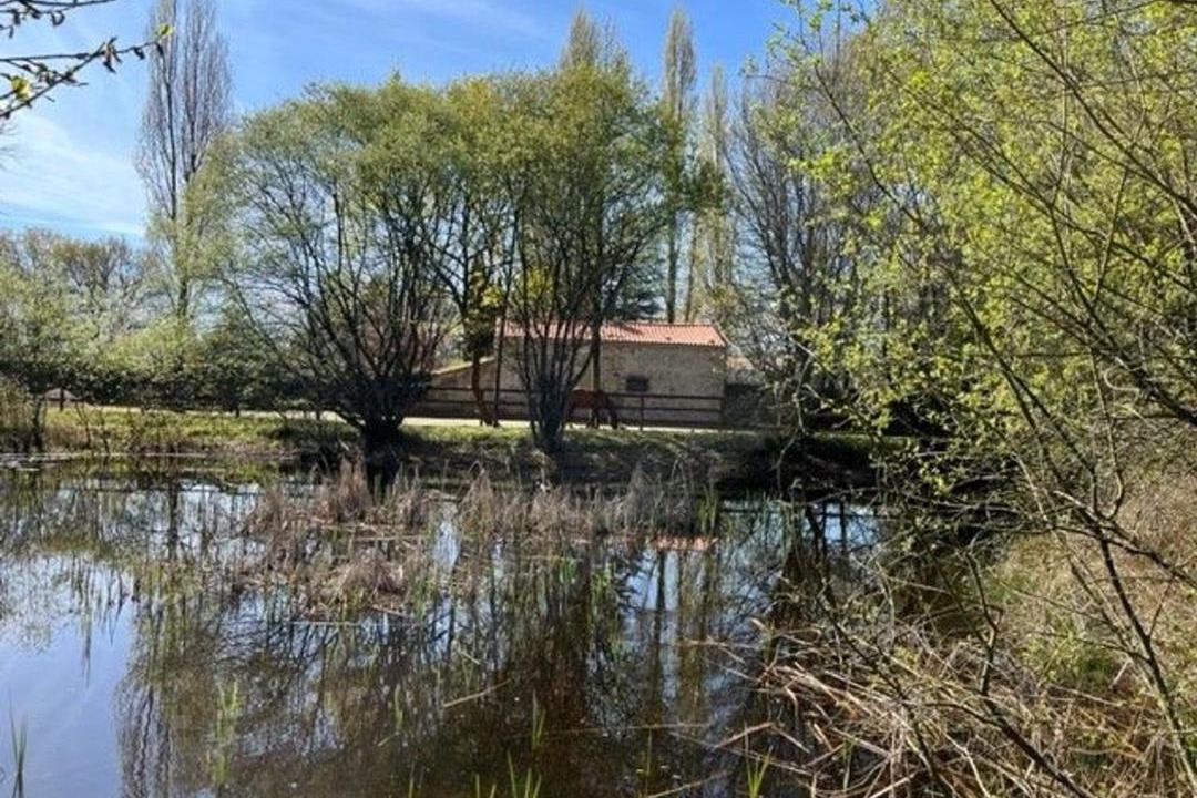 Photo of Others in Mauves-sur-Loire