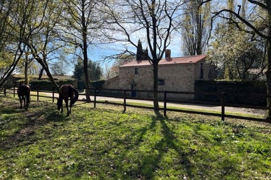 Photo of Others in Mauves-sur-Loire