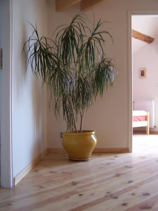 Photo of Bedroom in Monts du Pilat