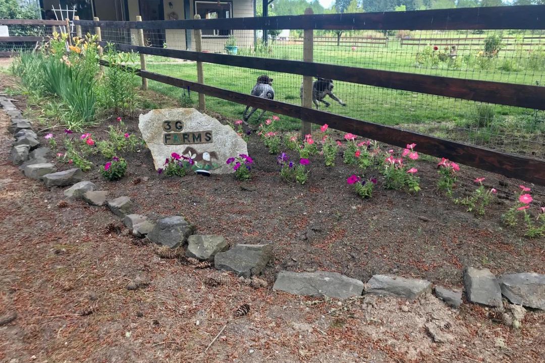 Photo of Others in Toledo