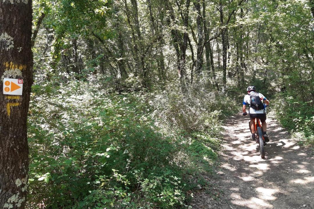 Photo of Others in Portes-en-Valdaine