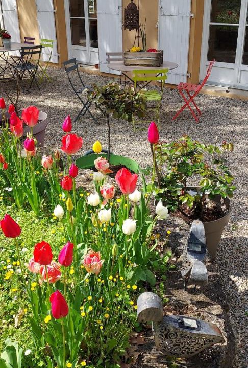 Photo of Others in Vourles