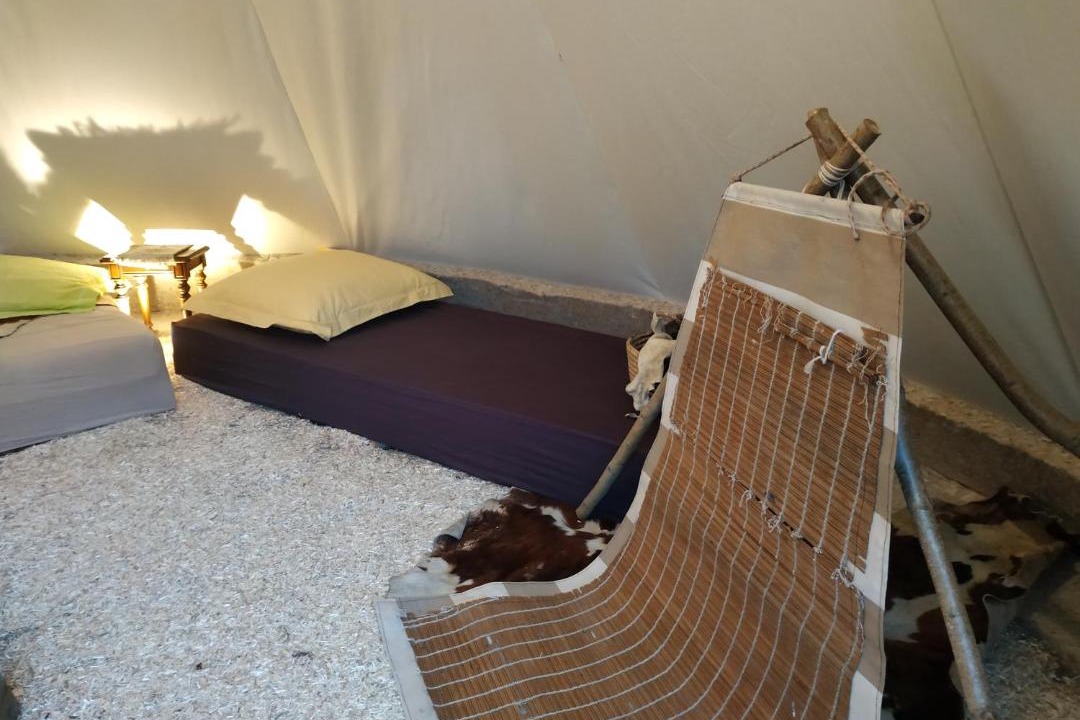 Photo of Others in Bazouges-la-Perouse