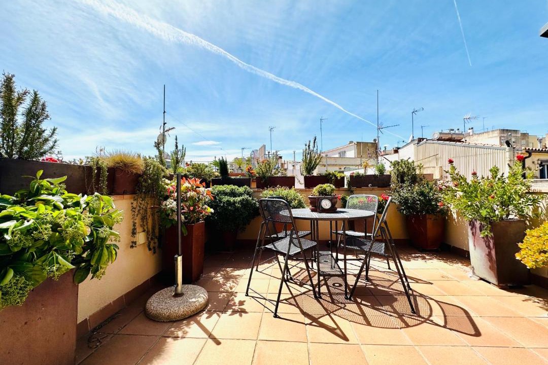 Photo of Others in Reus
