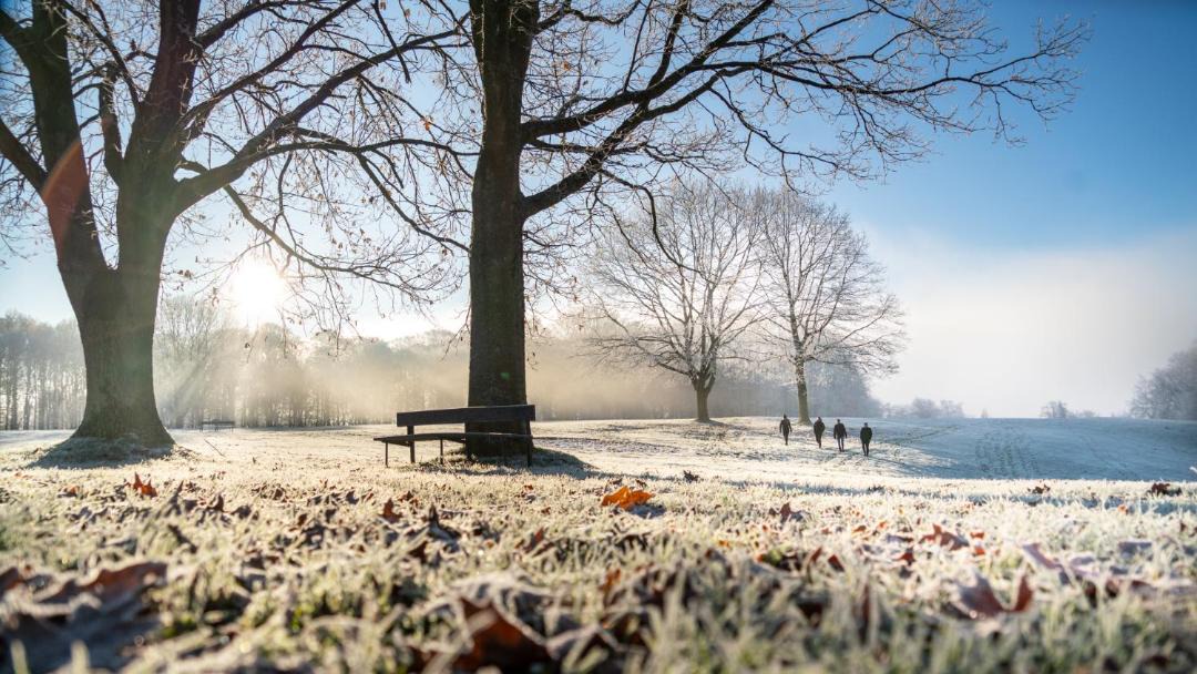 Photo of Others in Skanderborg