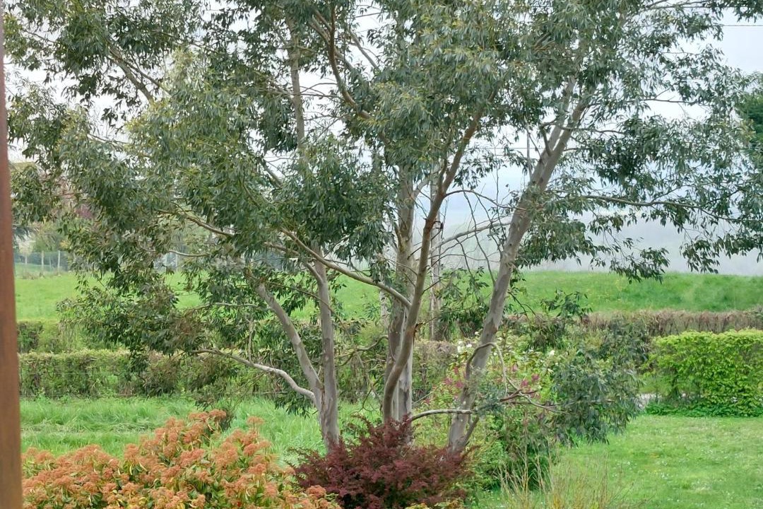 Photo of Others in Myennes