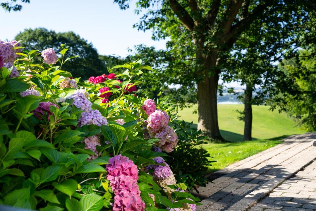 Photo of Others in Skanderborg