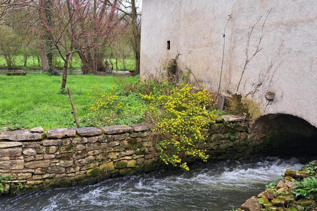 Photo of Others in Payre