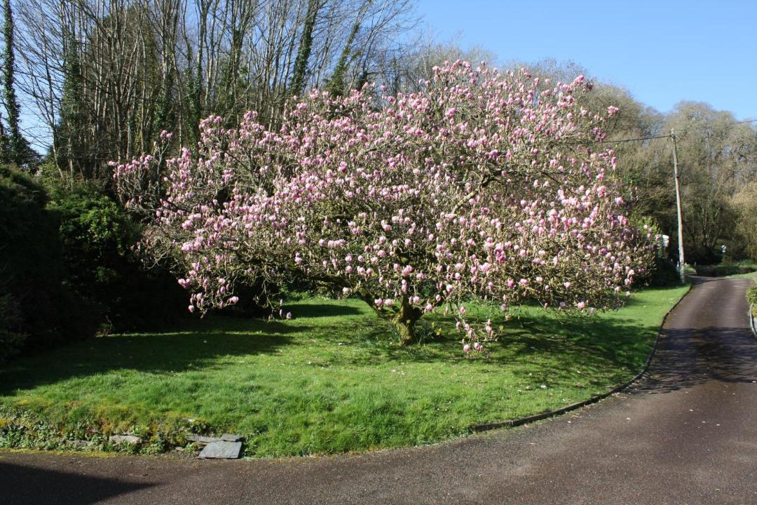 Photo of Others in Hessenford