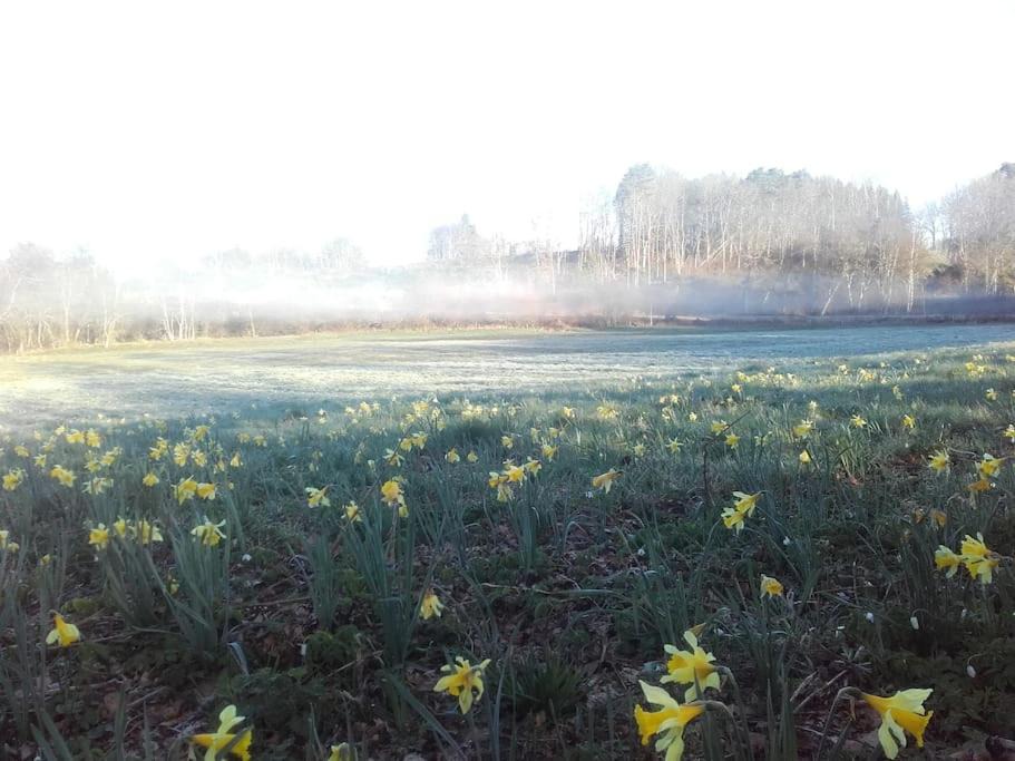 Photo of Others in Cussy-en-Morvan